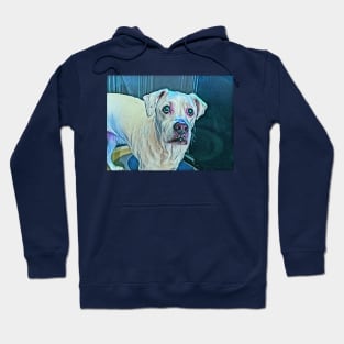 Puppy eyes Hoodie